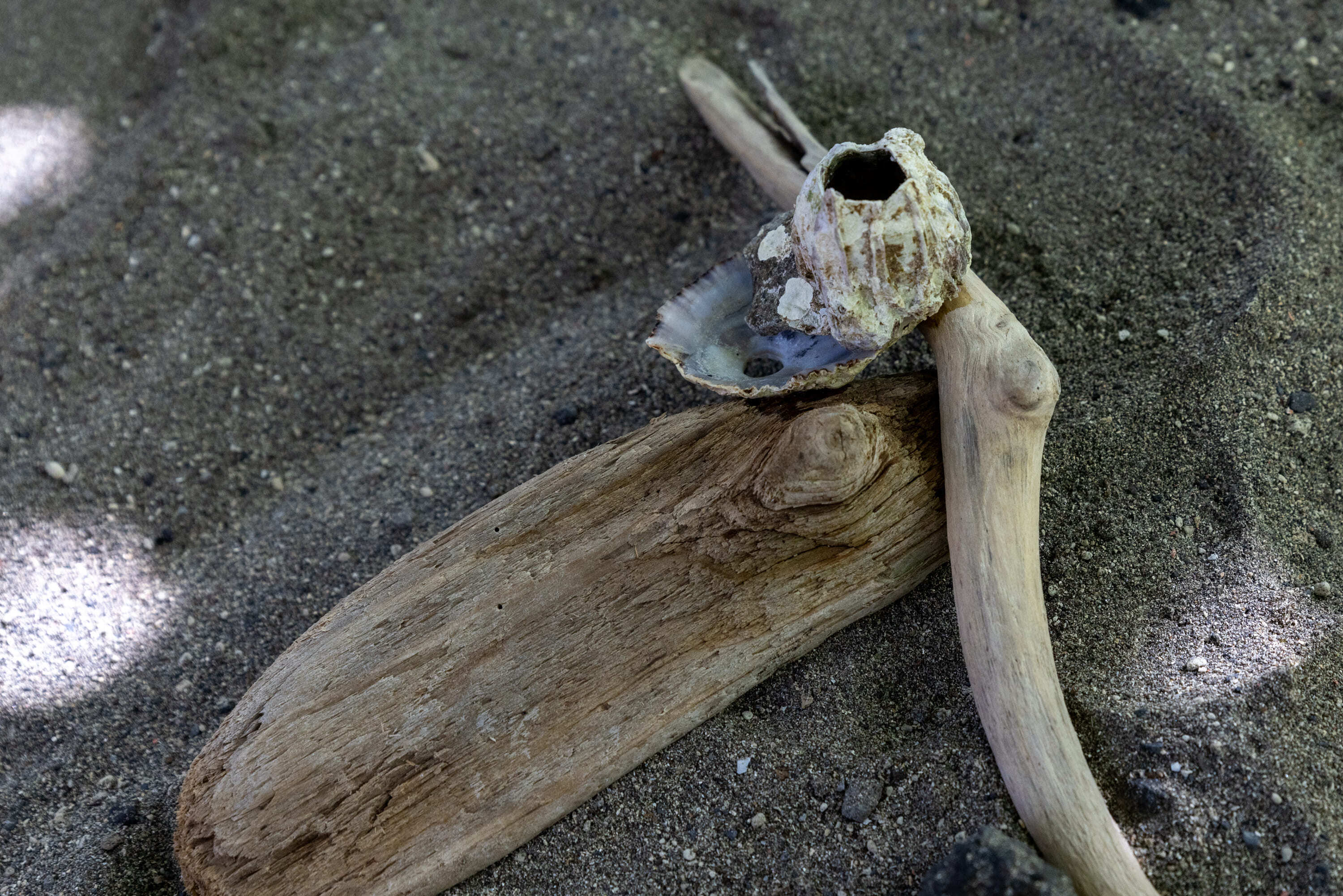 BIENAL2025 Abertura CCC Mariana Lopes 004