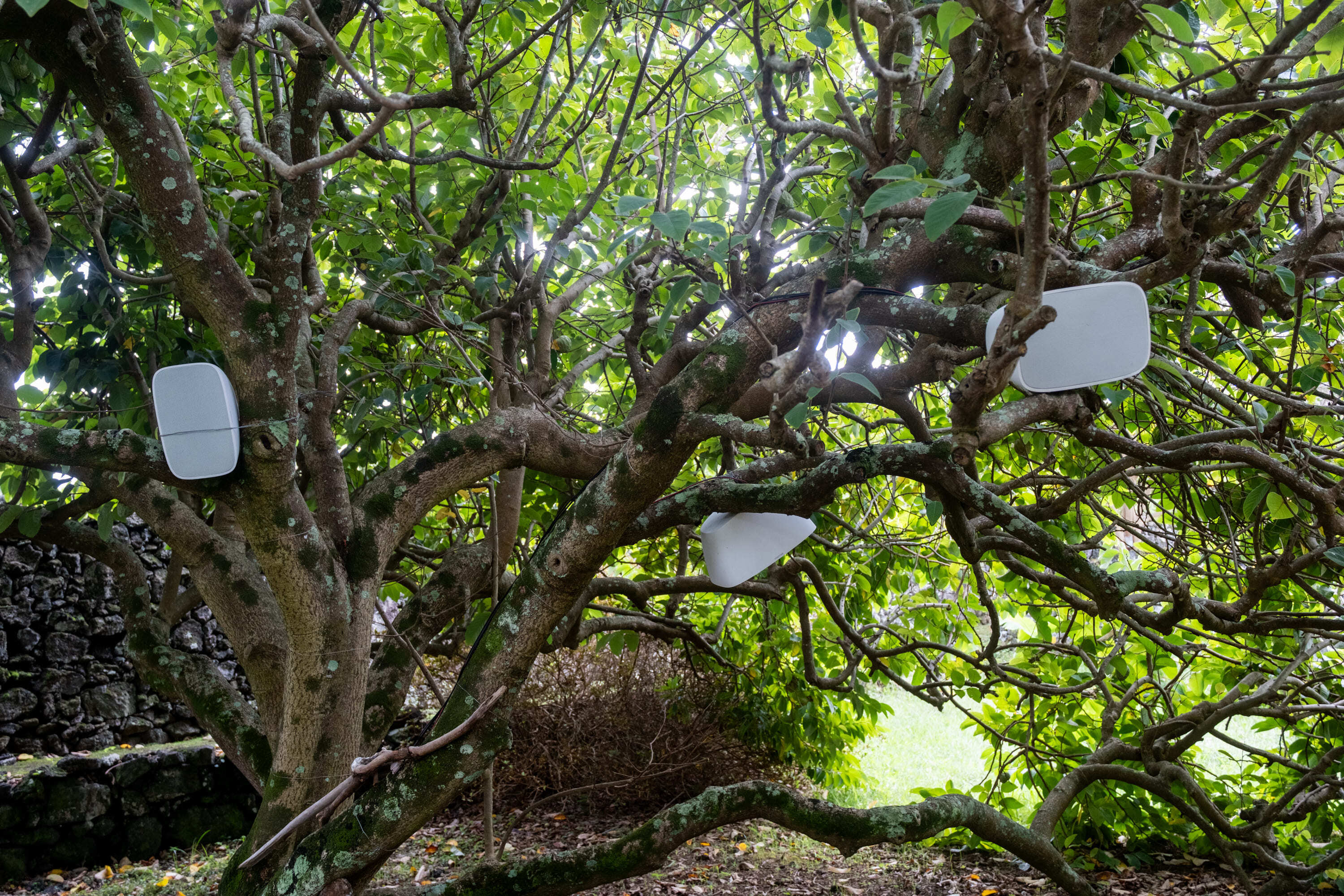 WT BIENAL2025 Helle Siljeholm Installation CCC Mariana Lopes 009